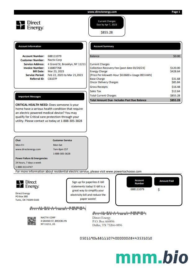 Texas Direct Energy rachunek za usługi komunalne, Word i szablon PDF